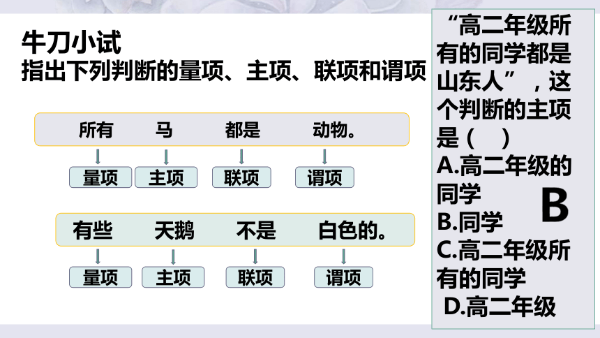 5.2正确运用简单判断 课件-2024统编版选择性必修三