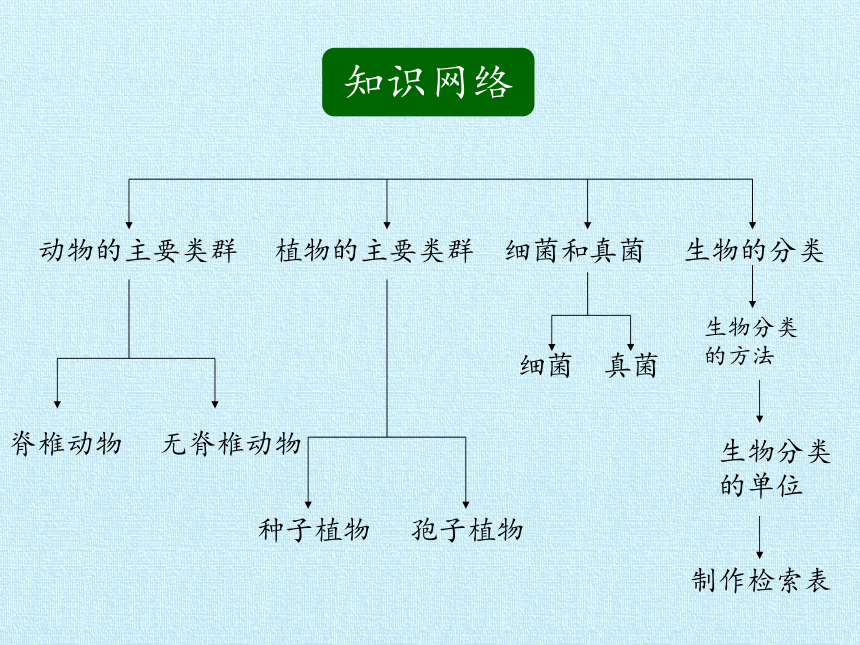 华师大版七年级科学上册 第2章 生物的主要类群 复习课件(共25张PPT)