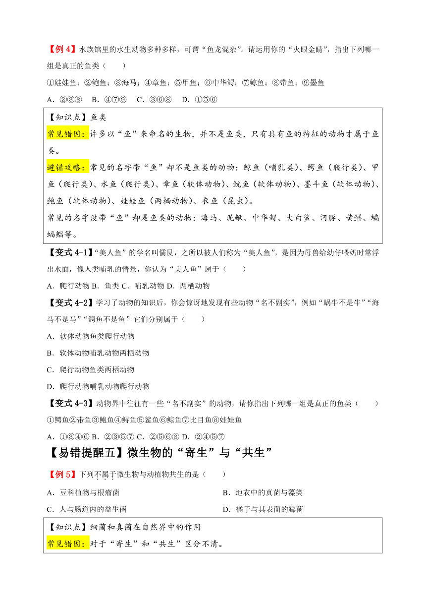 易错点09 生物的相关类群-备战2024年中考生物易错题（含解析）