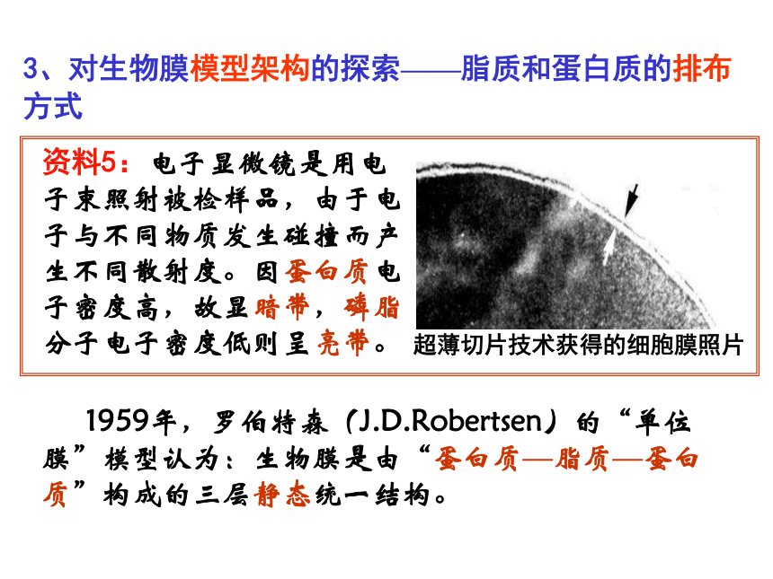 人教版生物必修一高中4．2-生物膜的流动镶嵌模型（共22张PPT）