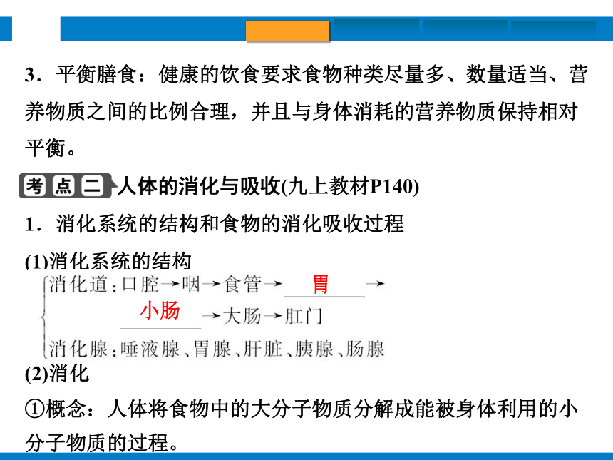 2024浙江省中考科学复习第6讲　动物的新陈代谢（1）（课件 50张PPT）