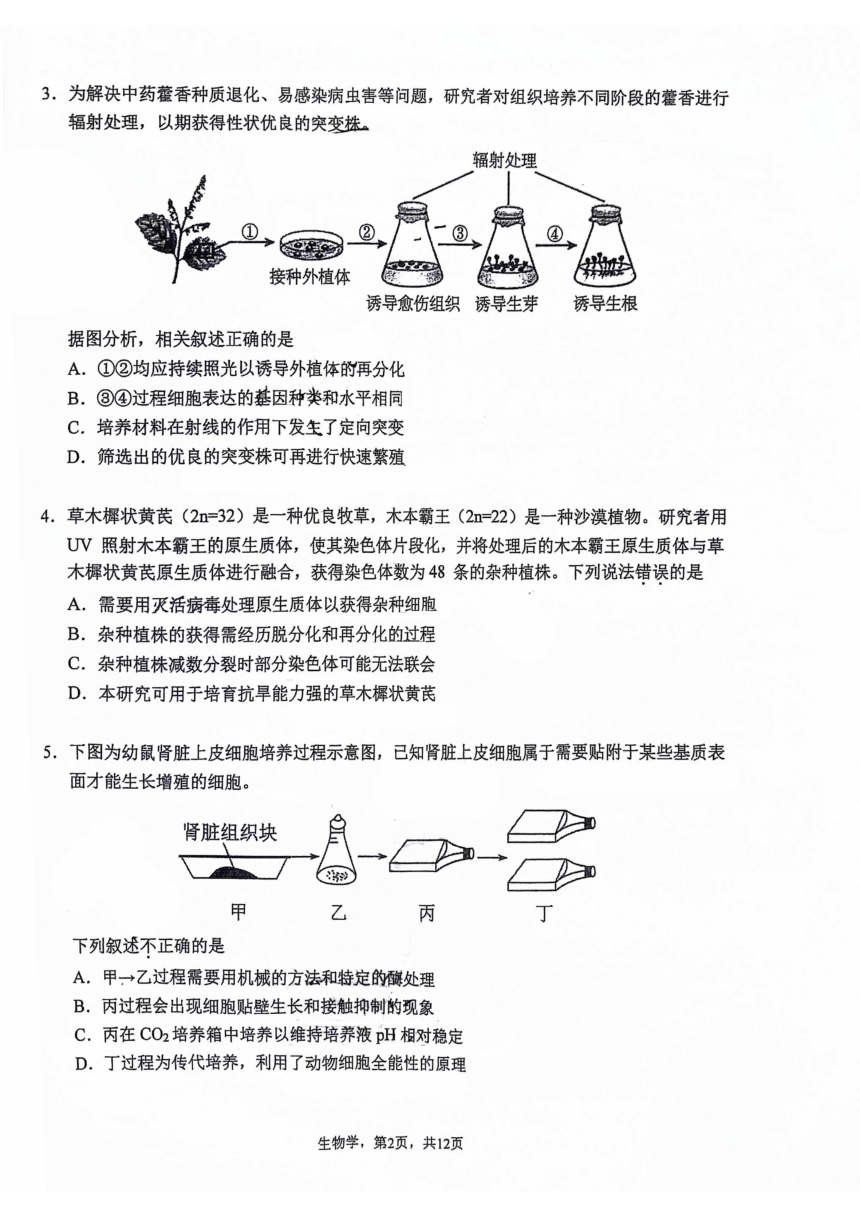 2024年北京市中国人民大学附属中学高二下学期期中生物试题（pdf版无答案）