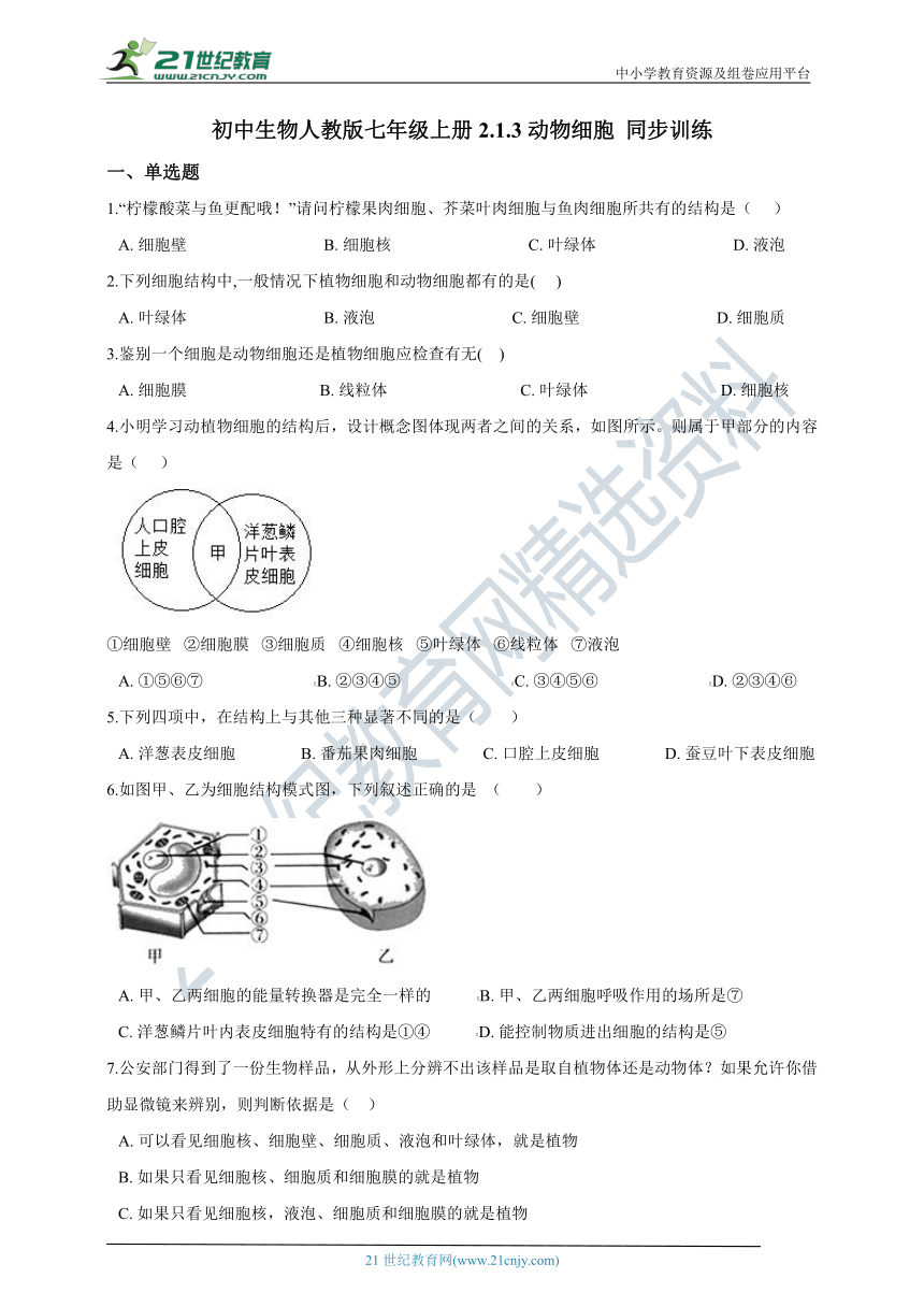 2.1.3动物细胞 同步训练（含解析）