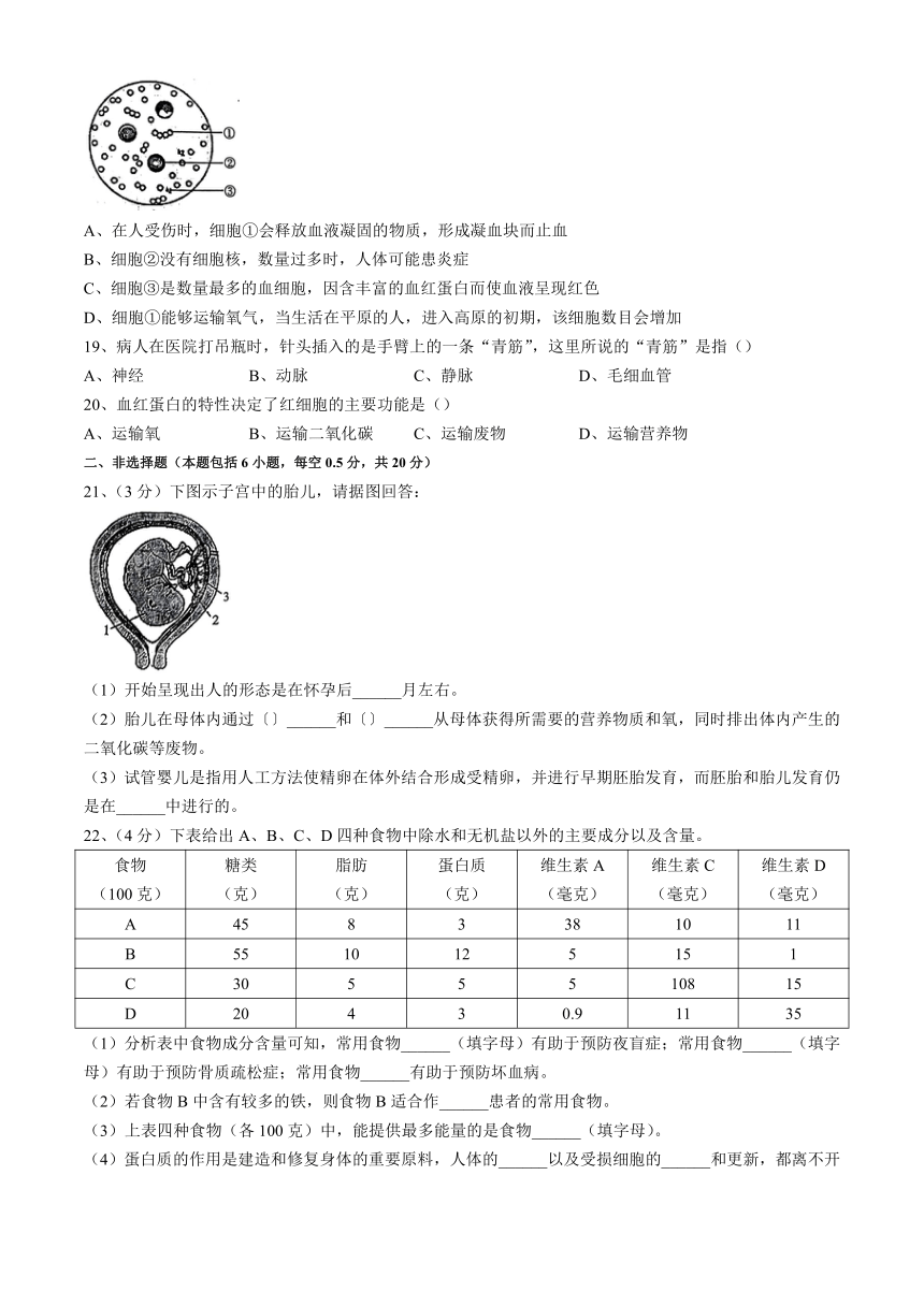 辽宁省丹东市凤城市2023-2024学年七年级下学期5月期中生物试题（含答案）