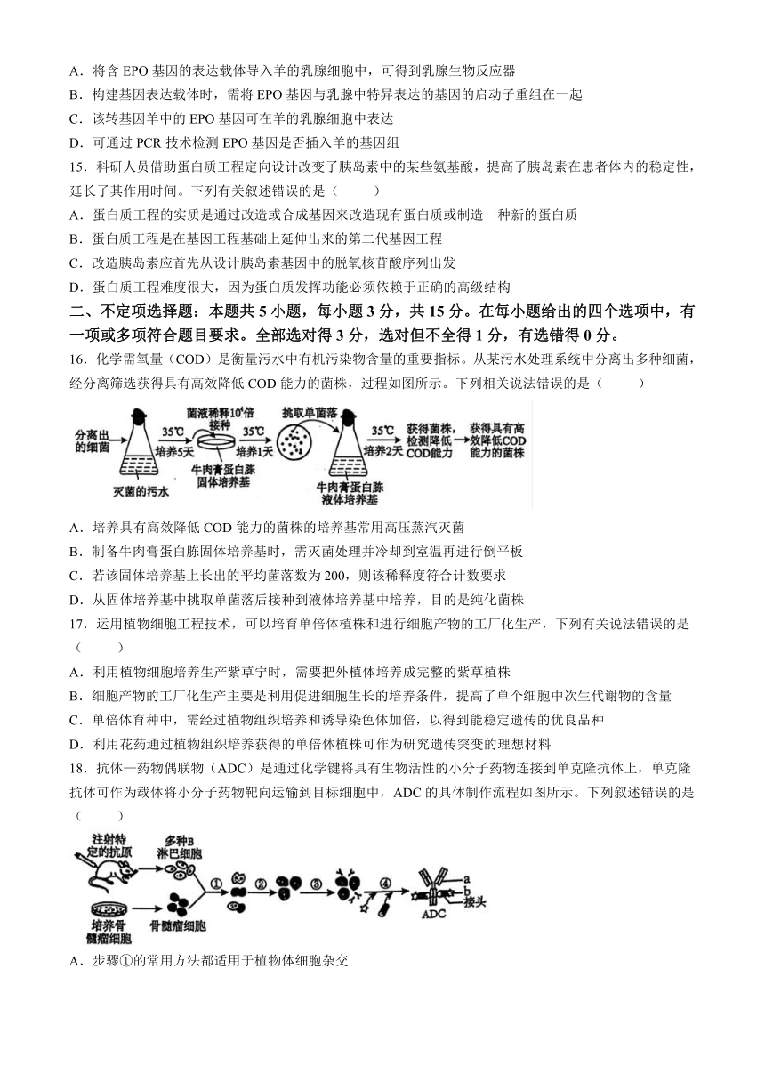 辽宁省部分高中2023-2024学年高二下学期期中考试生物试题(含答案)