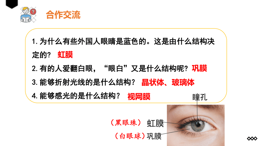 4.6.1人体对外界环境的感知课件 (共25张PPT)人教版生物七年级下册