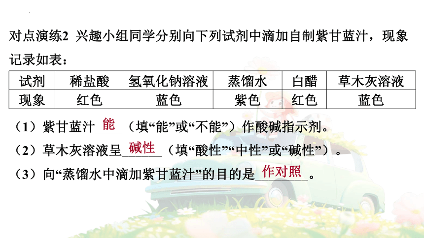 10.1 常见的酸和碱（第1课时） 课件(共39张PPT)2023-2024学年人教版九年级化学