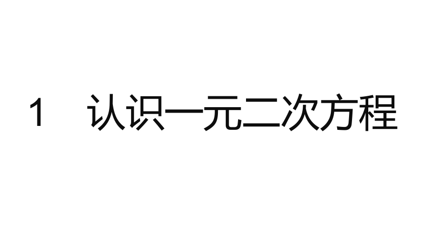 北师大版九年级上册数学第二章　一元二次方程整章同步练习课件（171张PPT)