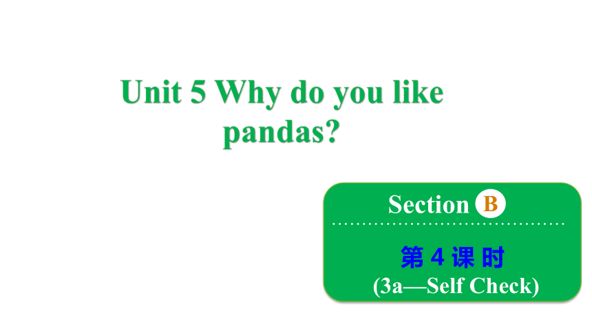 人教新目标(Go for it)版七年级下册Unit 5 Why do you like pandas? Section B 3a~Self Check课件(共14张PPT)