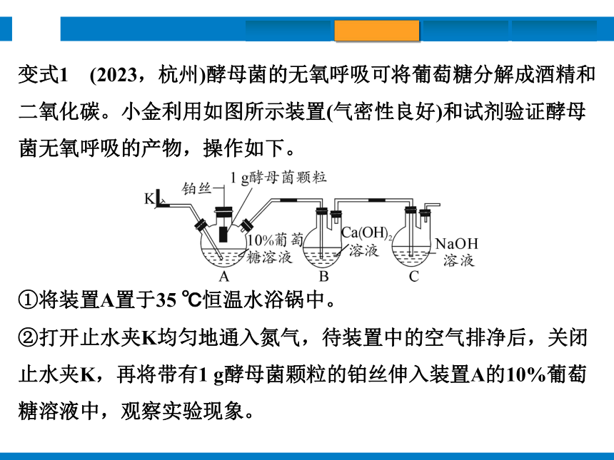 2024浙江省中考科学复习第36讲　二氧化碳（课件  31张PPT）