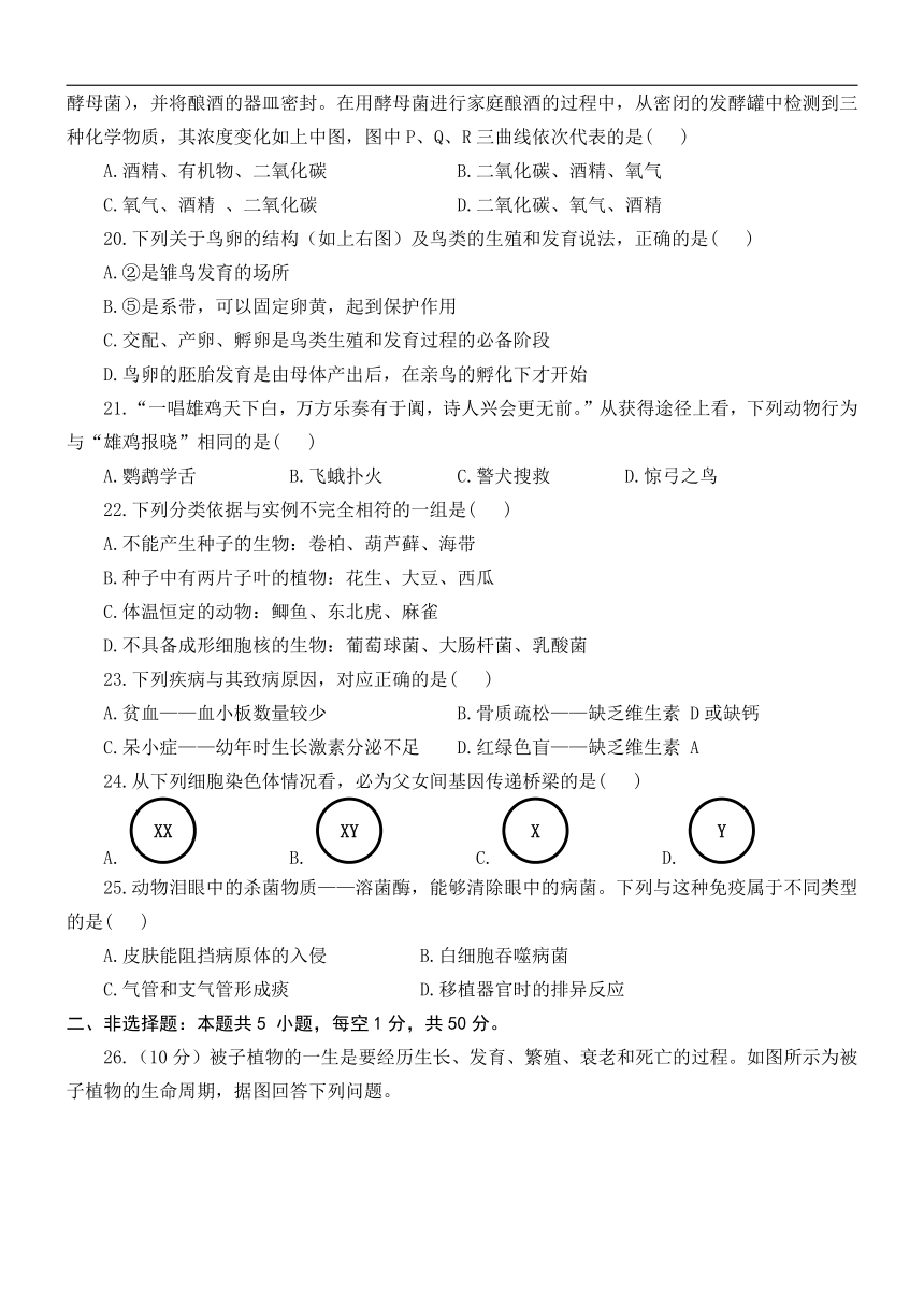 2024年山东省济宁市兖州区第二十中学学业水平模拟测试生物试题（含解析）