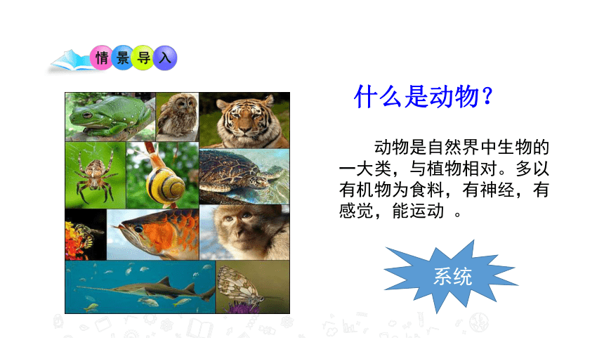 2020年秋苏教版八年级上册生物14.2 千姿百态的动物世界 课件(共41张PPT)