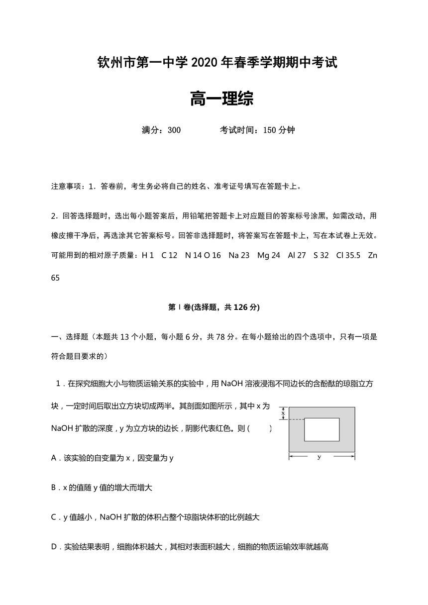 广西钦州市第一中学2019-2020学年高一下学期期中考试理科综合试题 Word版含答案