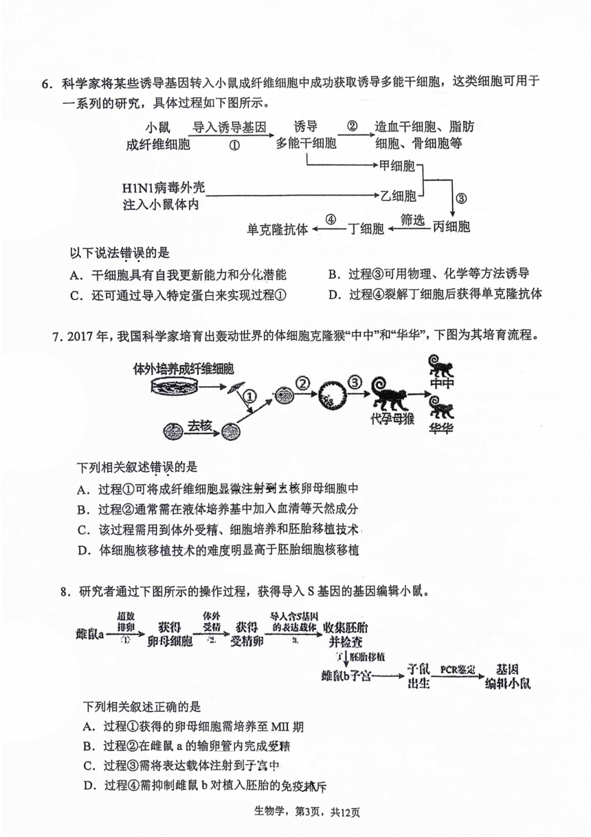 2024年北京市中国人民大学附属中学高二下学期期中生物试题（pdf版无答案）