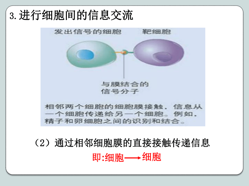 人教版高中生物必修1《3．1细胞膜——系统的边界》课件（共50张PPT）