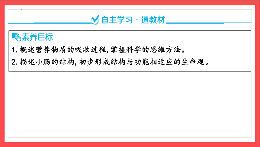 4.2.2 消化和吸收（二）课件(共16张PPT)2023-2024学年人教版生物七年级下册