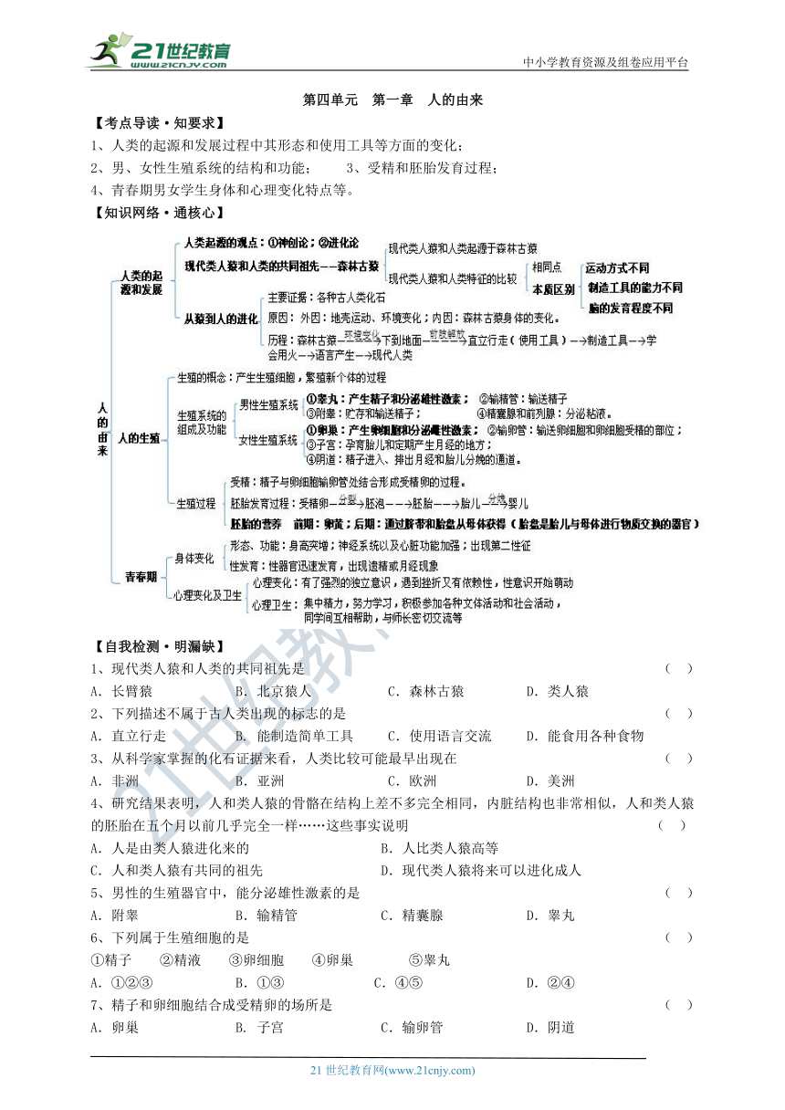 人教版初中生物总复习导学案第四单元第一章人的由来（含答案）