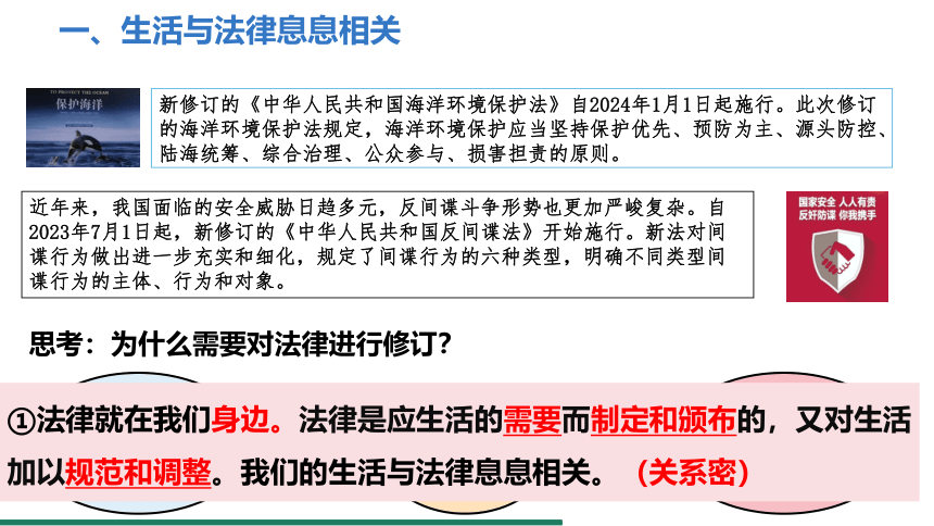 （核心素养目标）9.1 生活需要法律 课件（共22张PPT） 统编版道德与法治七年级下册