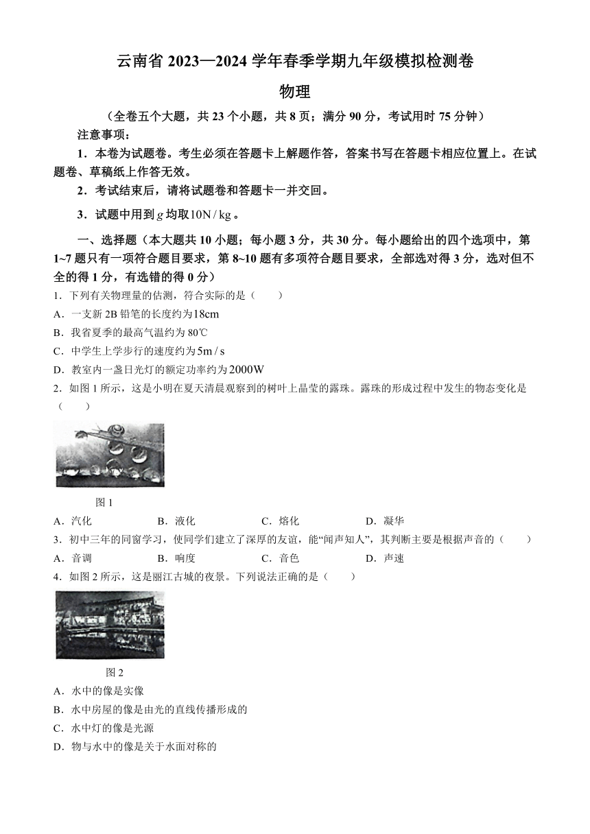 2024年云南省昭通市巧家县中考二模物理试题（含答案）