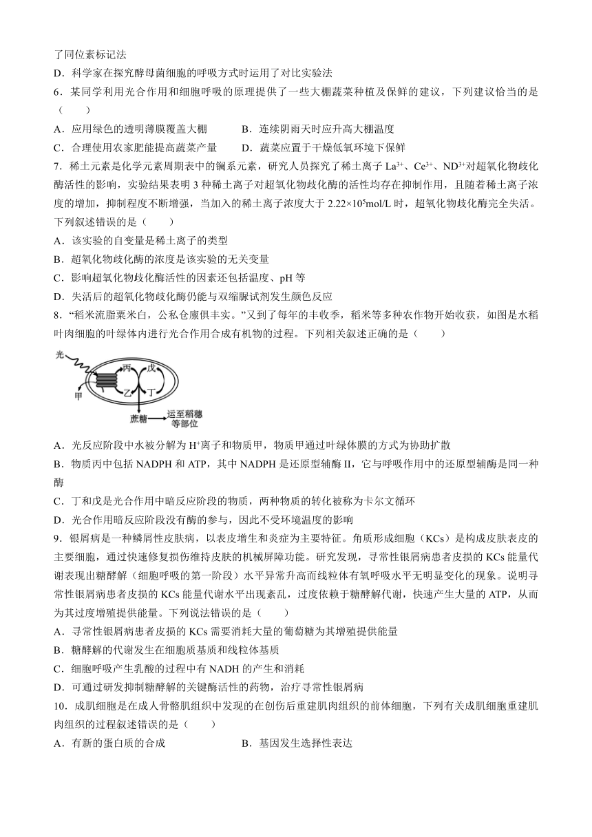 江西省宜春市宜丰县宜丰中学2023-2024学年高一下学期4月期中生物试题（含解析）