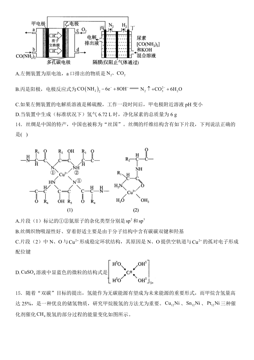 广东省2024届高考化学模拟卷（含解析）