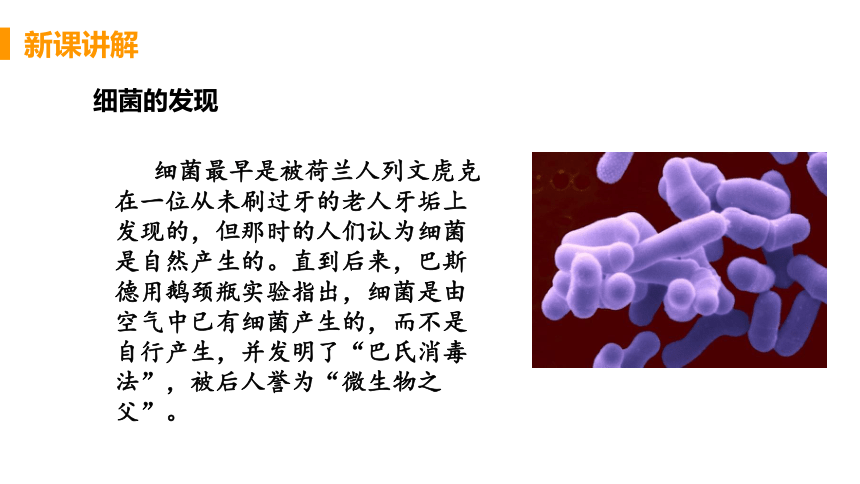 人教版生物八年级上册5.4.2细菌 课件（18张PPT)