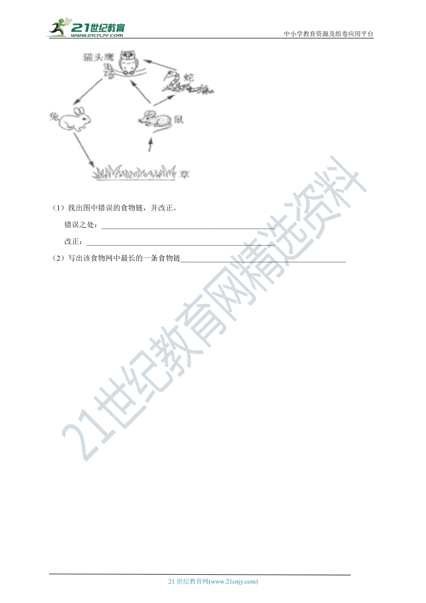 3.16《生物间的食物关系》练习