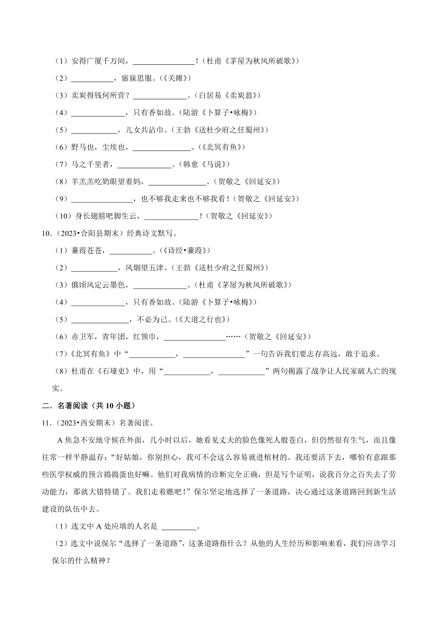 陕西省2023-2024学年八年级下学期语文期末复习强化训练（含解析）