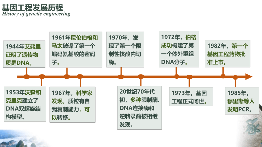 3.1重组DNA技术的基本工具课件(共37张PPT) 生物人教版（2019）选择性必修3