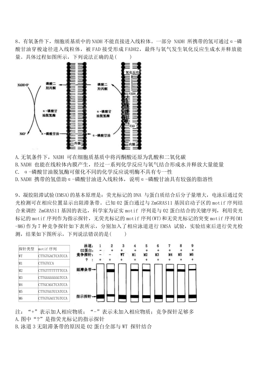 天津市第一中学2023-2024学年高三下学期5月月考生物学试卷（含答案）