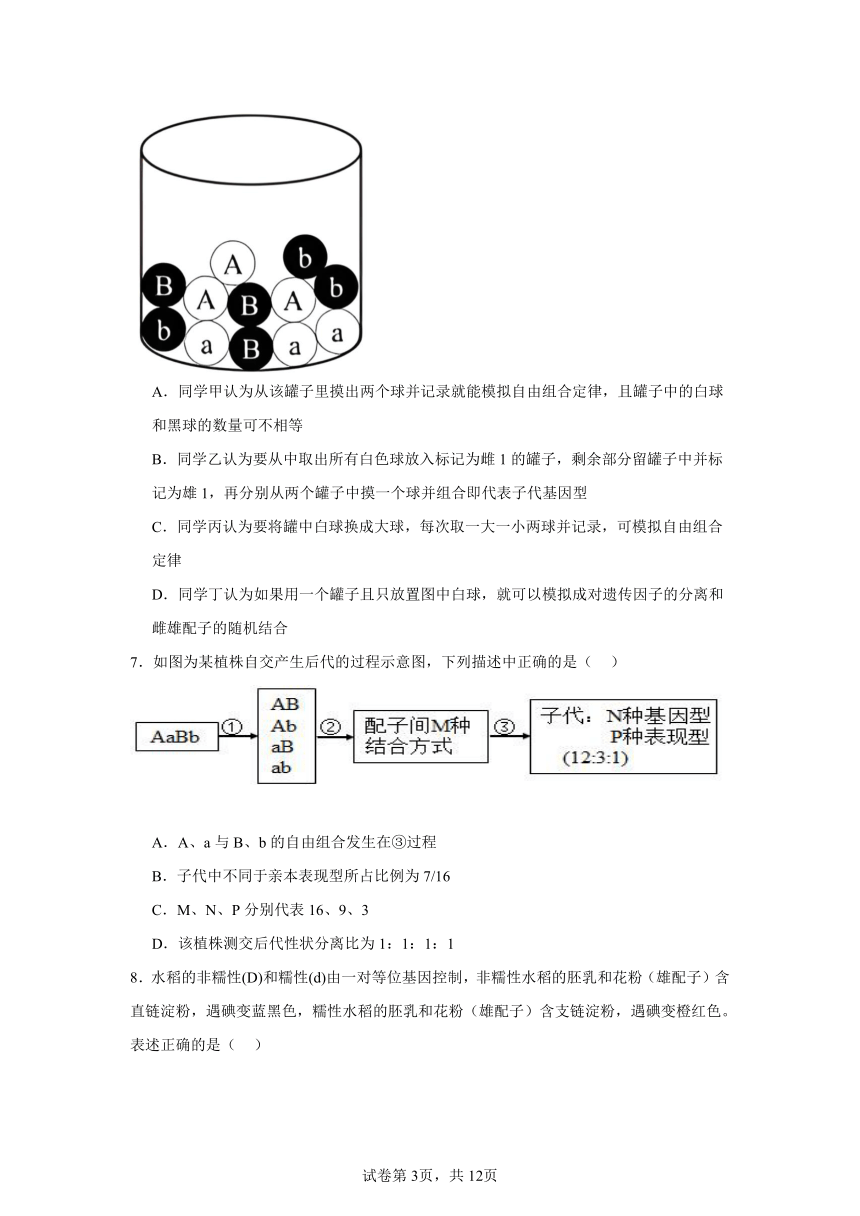 第1章遗传因子的发现综合复习训练（含解析）2023——2024学年高生物人教版（2019）必修2遗传与进化