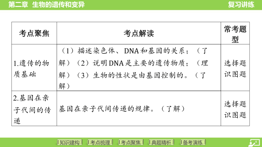 第一篇 第六单元 第二章 生物的遗传和变异  课件(共43张PPT) 2024中考生物北师版总复习专题突破(冀少版)