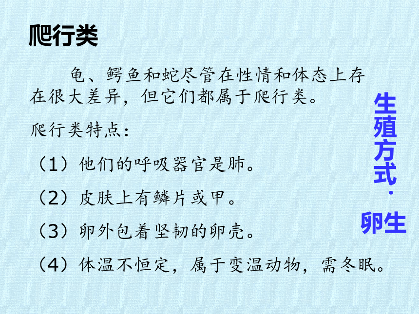 华师大版七年级科学上册 第2章 生物的主要类群 复习课件(共25张PPT)