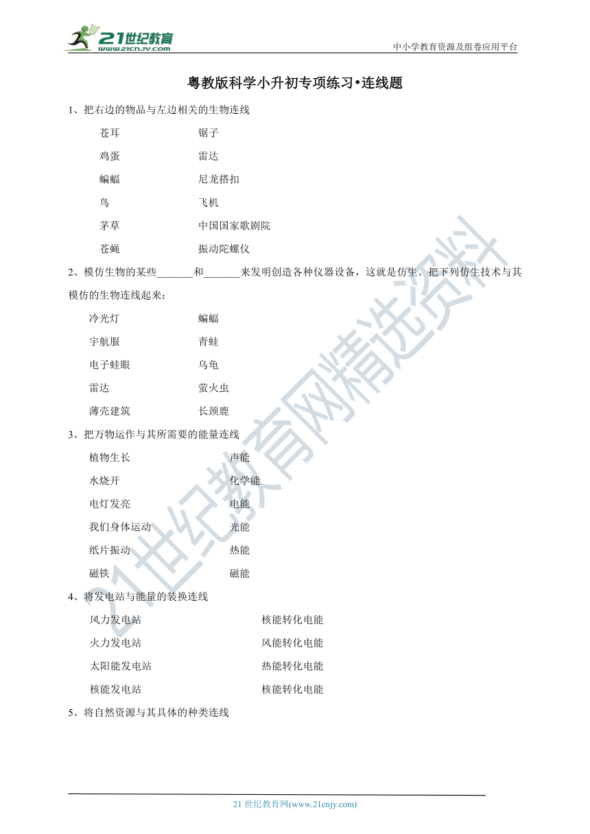 粤教版科学小升初专项练习 连线题