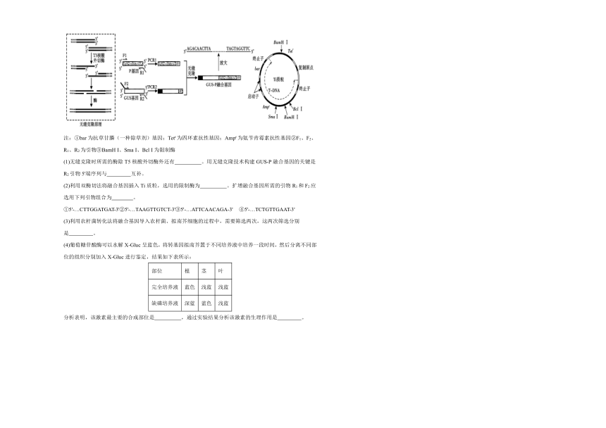 江西省上饶艺术学校2023-2024学年高二下学期生物5月测试卷（含解析）