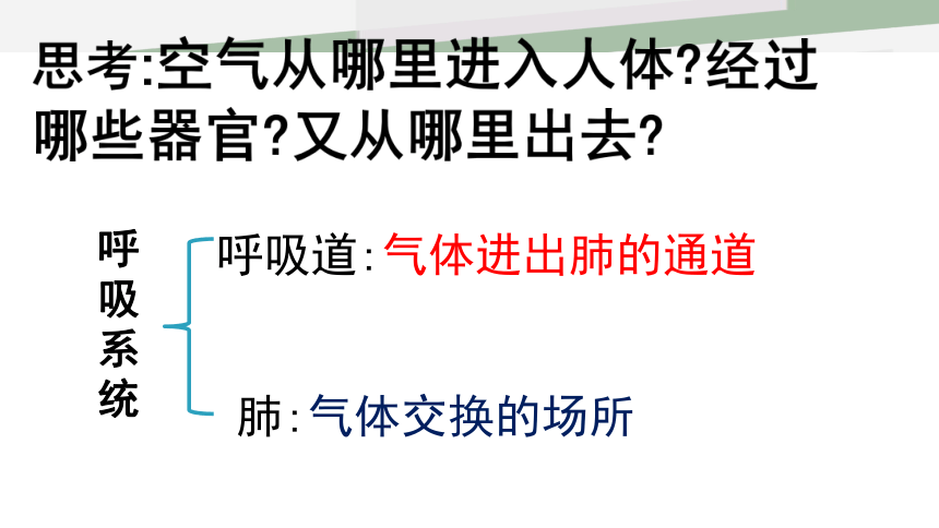 北师大版七年级下册10．2 人体细胞获得氧气的过程 课件 （共19张PPT）