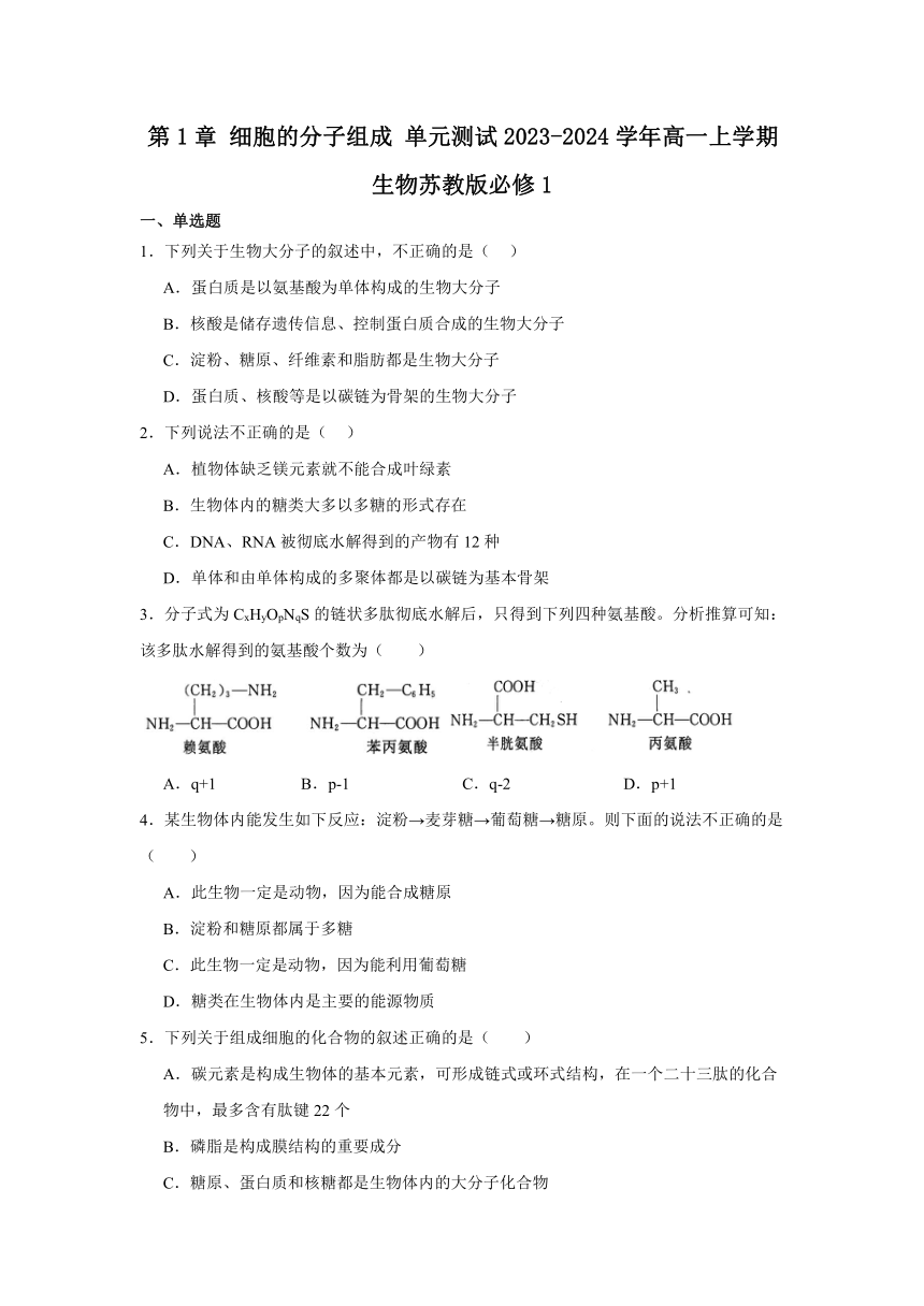 第1章 细胞的分子组成单元测试（含解析）2023-2024学年高一上学期生物苏教版必修1