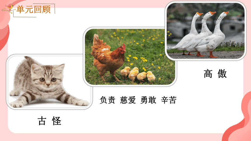 统编版四年级语文下册第四单元   习作：我的动物朋友  课件(共37张PPT)