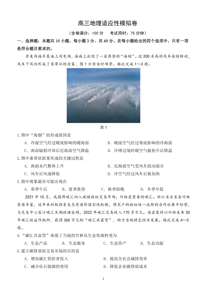 2024届福建省漳州市高三下学期适应性模拟考试地理试题（PDF版无答案）