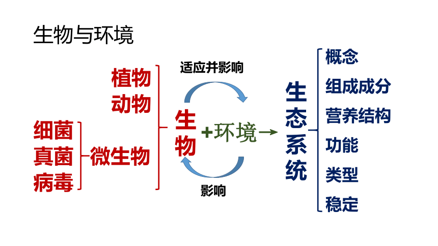 第六单元生物与环境第一二三章复习-课件(共18张PPT)