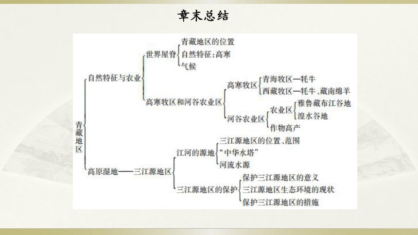 人教地理八年级下册第9章青藏地区章末复习课件（共46张ppt）