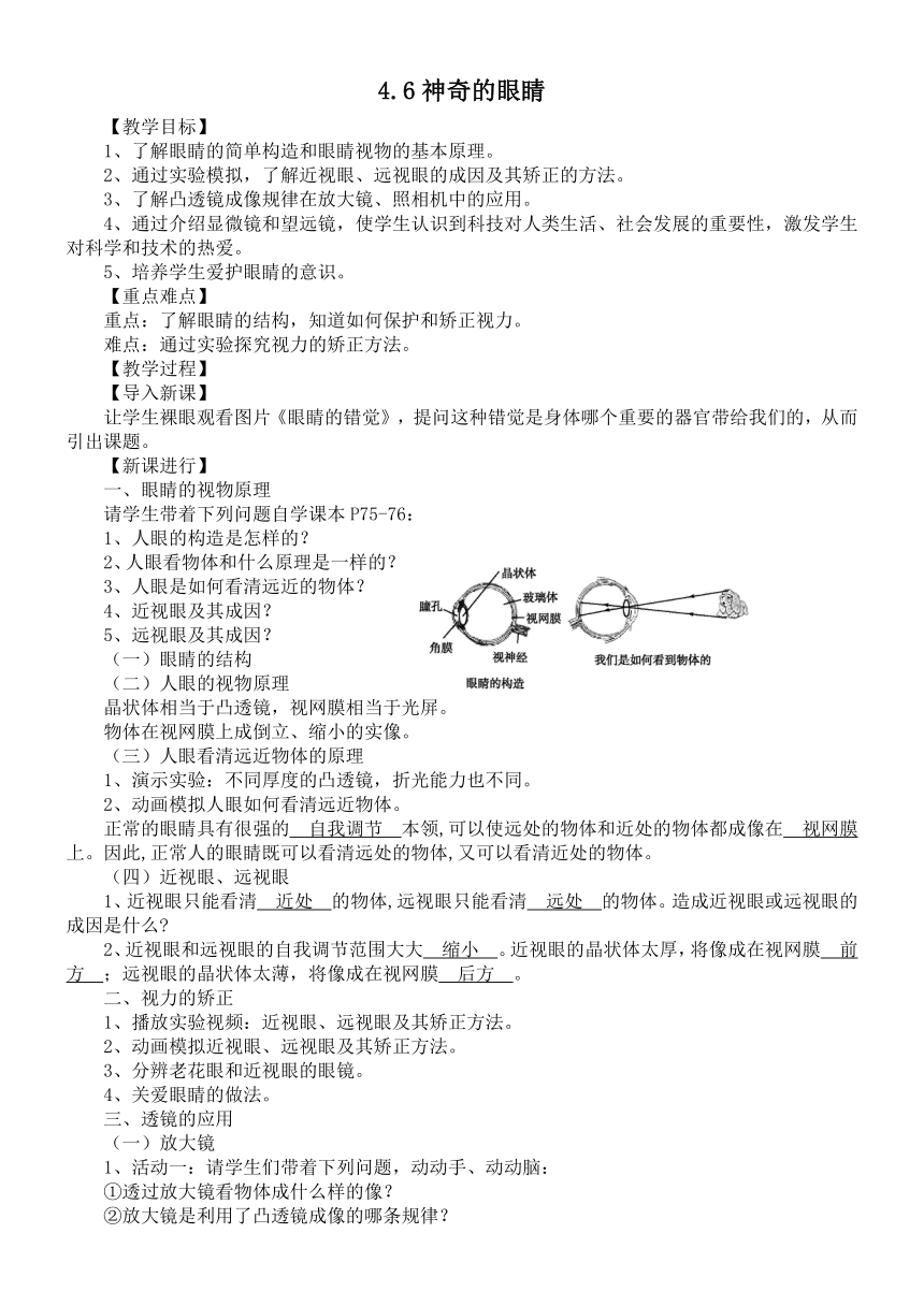 沪科版八年级物理 4.6神奇的眼睛 教案