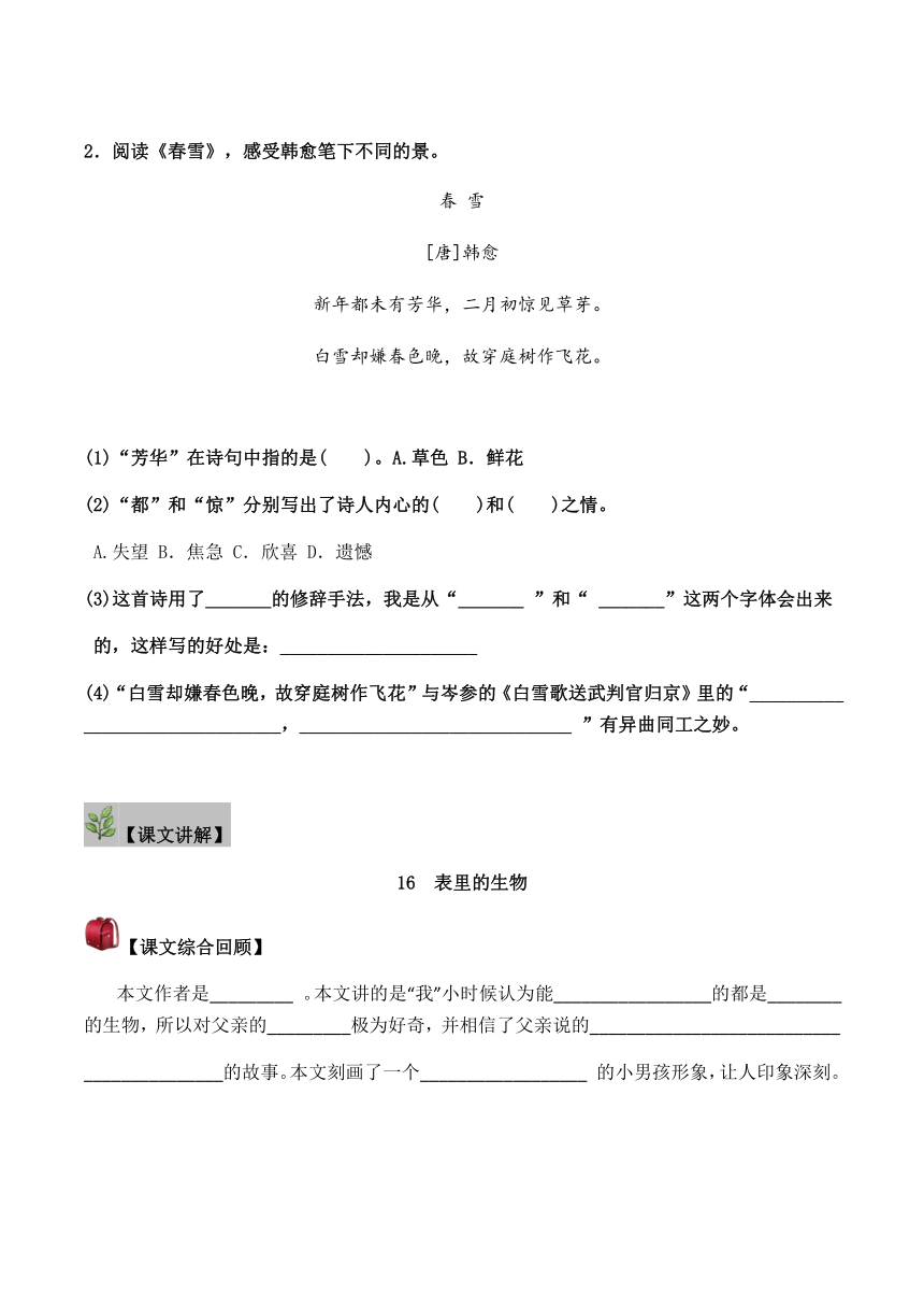 部编版六年级下册语文 第五单元（二）内容讲解+拓展练习（无答案）