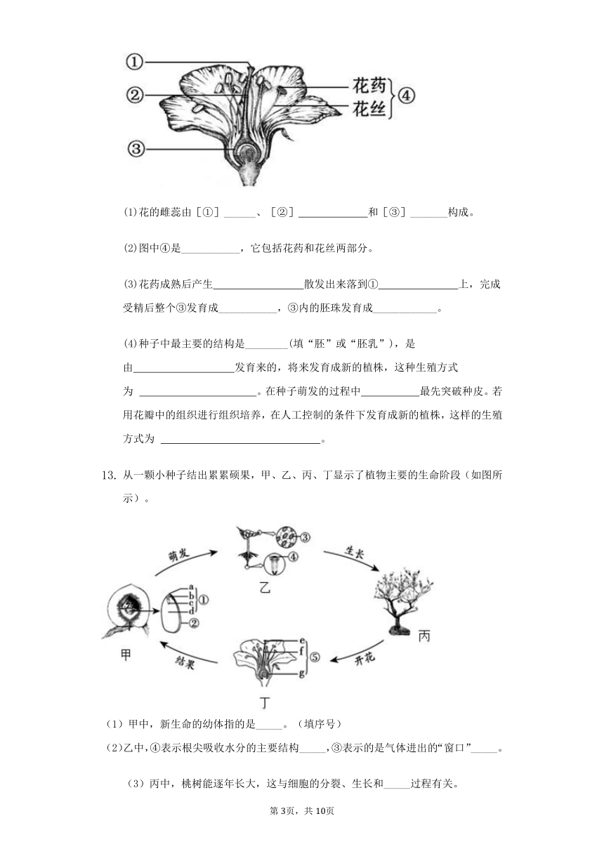 人教版八年级生物下册7.1.1植物的生殖 同步练习（word版含解析）