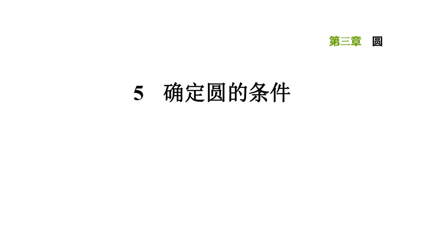 北师大版九下数学3.5确定圆的条件习题课件（31张）