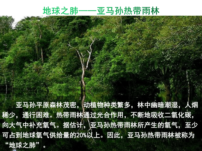 湘教版七年级下册地理 8．6 巴西（35张PPT）（WPS打开）