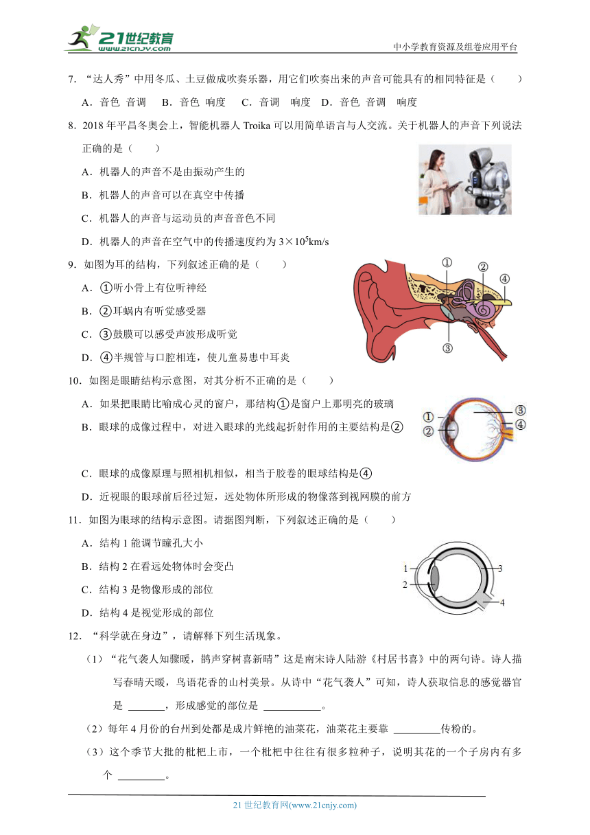 浙教版七下科学期中专题04 耳、眼睛与感觉世界（含答案）