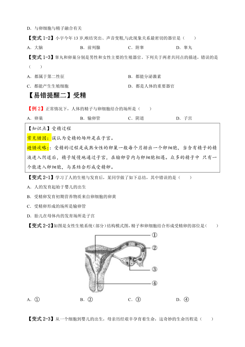 易错点06 人体的生殖与营养-备战2024年中考生物易错题（含解析）