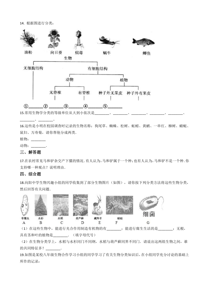 北京版8下生物 13.1 生物的分类 同步练习(含答案)