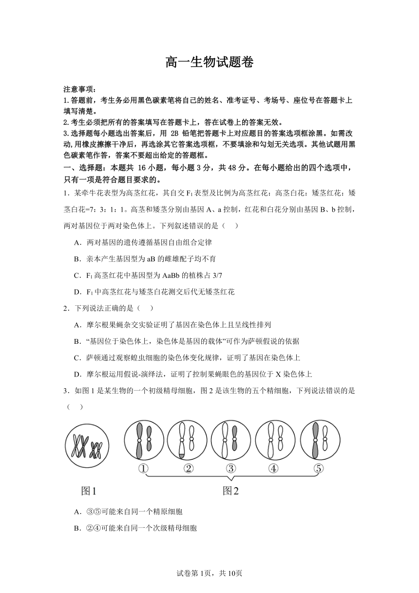 2023-2024学年湖南省长沙市浏阳市重点校联考高一下学期期中生物测试卷（含答案）